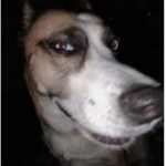 Janthegamer