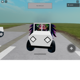 Crazy racers