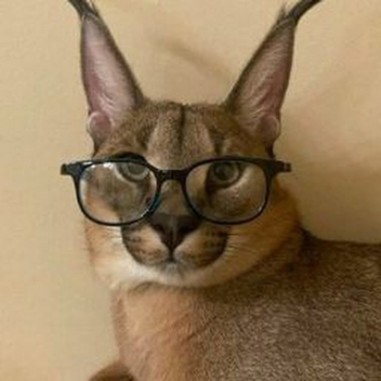 битва за жизнь