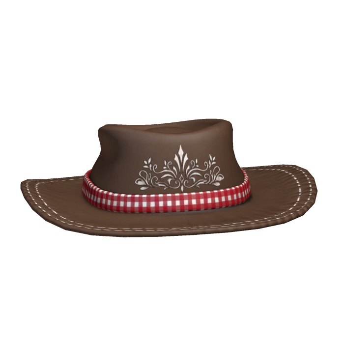halloween cowgirl cowboy hat brown