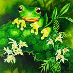 Aesthetic Frog's