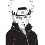 Naruto fan gc