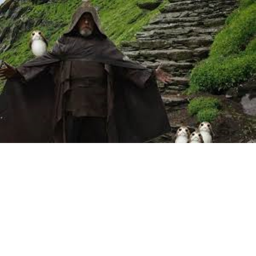 Porg Hangout 🐧