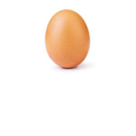 egg is god