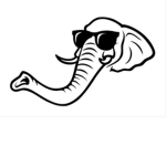 Elite Elephants