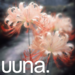uuna