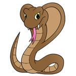 Cobra Clothing Inc