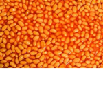 Roblox Beans United