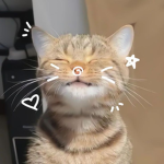 Artistecat