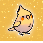 Cockatiel - Clothes store