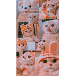 kfchilusgviluszzyjxhtethtrh