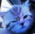 LXVER<33