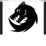 Team meteorites