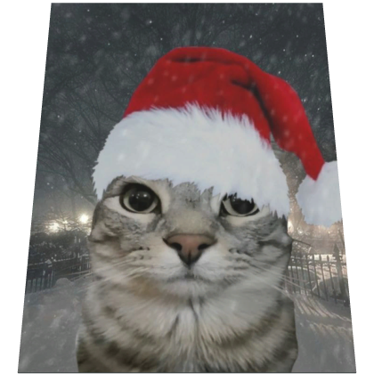 Cat Christmas Cape