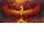 The order of the phoenix official