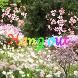 VC hangout