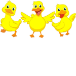 The Duck Pack