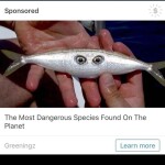 super's magical land of wonders