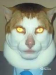 The undertale friends join if my friends