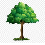 Forestry Tech