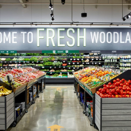 GROCERY STORE BUT WORSE