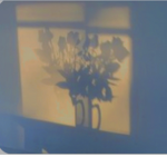 Flower shadow <3
