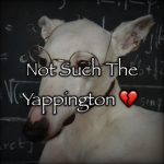 Not Such The Yappington