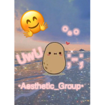 •Aesthetic_Group•