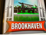Brookhaven histhory