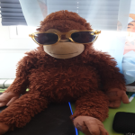 Siamo solo scimmie