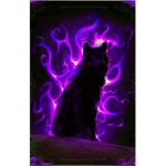Odd Wolf