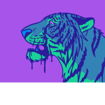 Crazy Tiger Fan Group