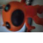 Foxy piggy