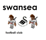 Swansea city