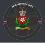 [YBA] Royal Intelligence Corps