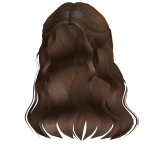 Delicate Half Up Waves Brown