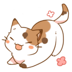 The CatFamily