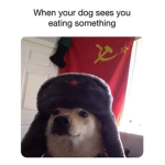 The MEME ZONE 4 U