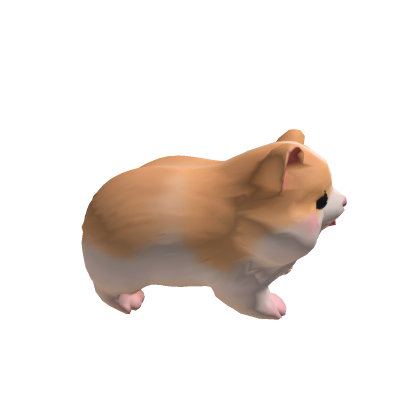 HAMSTER