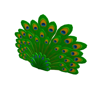 Peacock Tail
