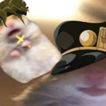 xxxmadxxx gang