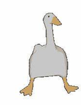 The Goose and Duck Empire