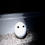 EEGGOO