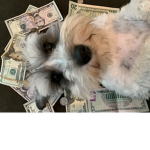Tiny Ted gang