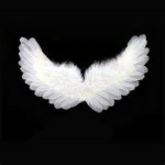 Winged Studios [WS]