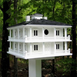 Birds United Outpost