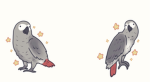 Sun Parrots! - <3