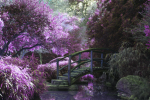 Deer’s Enchanted Flowers