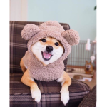~ Honey Bears ~
