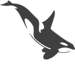 Killer Orca Clothing